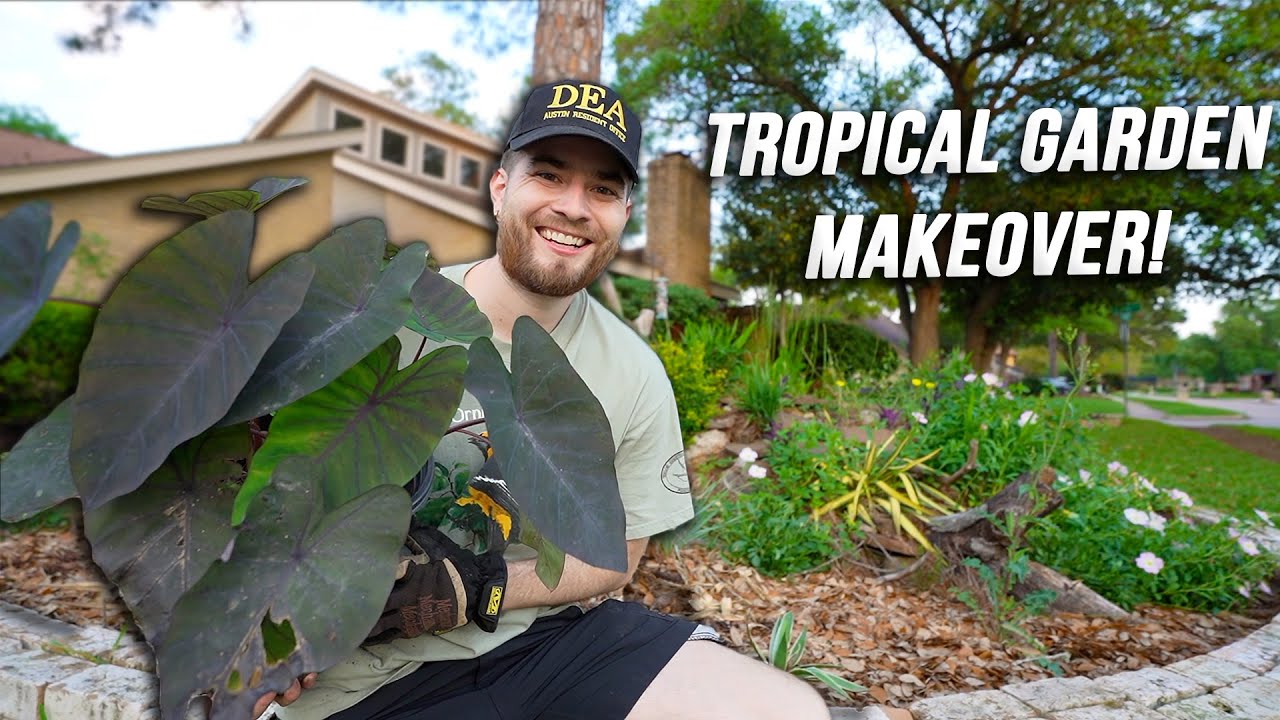 Tropical Garden Makeover using Native Plants & Exotics! Zone 9, Houston, Texas