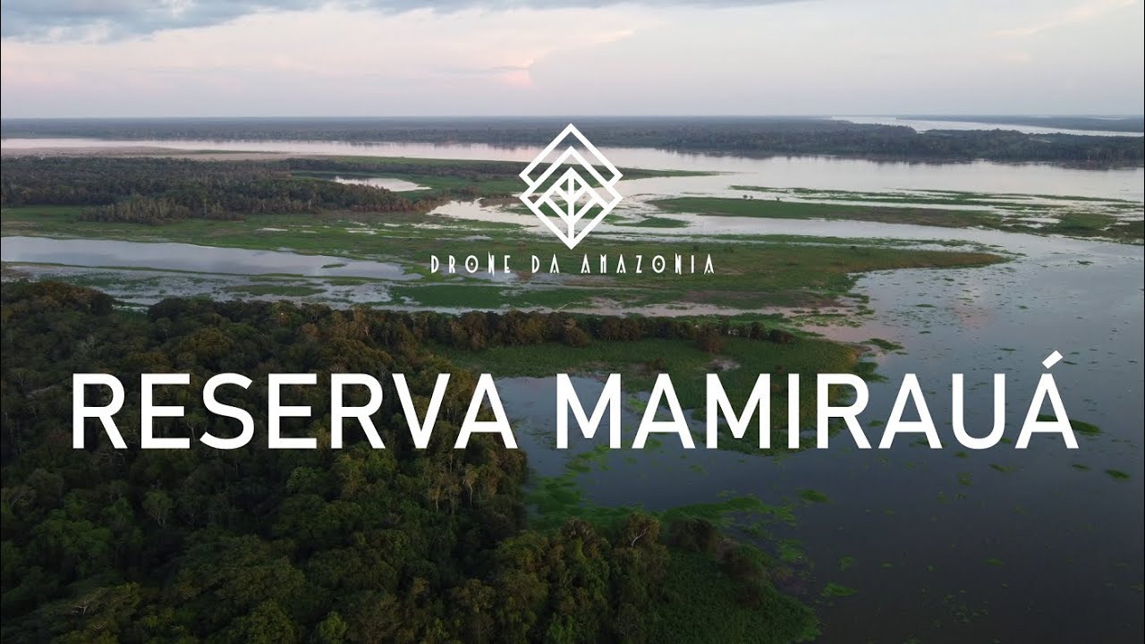 Mamirauá - Amazônia: contemplação da primeira Reserva de Desenvolvimento Sustentável do Brasil