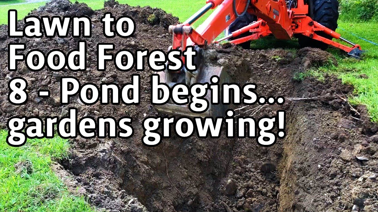 Lawn to Food Forest - 8 - Pond Digging and Gardens Growing!