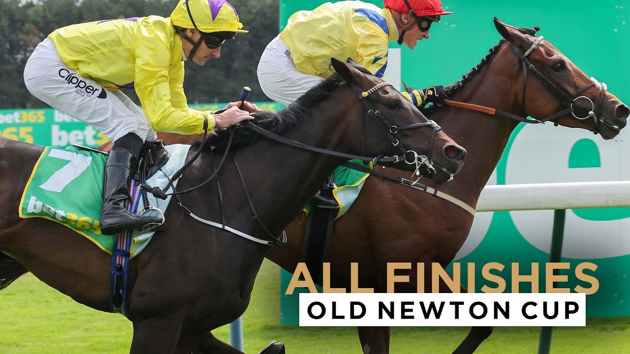 ALL RACE FINISHES FROM OLD NEWTON CUP DAY AT HAYDOCK PARK RACECOURSE