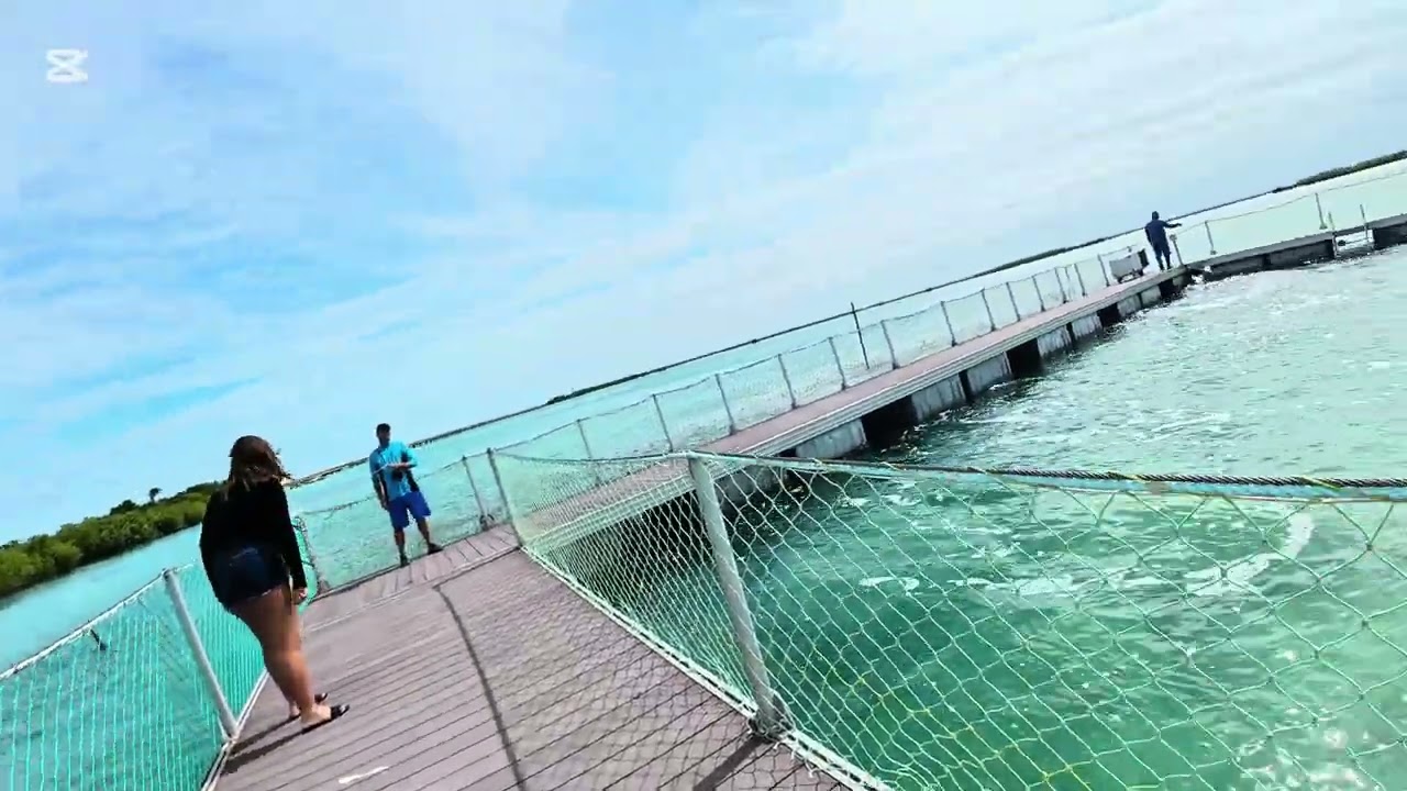 VISITA AL DELFINARIO  DE CAYO GUILLERMO. 