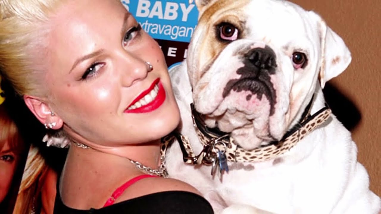 Celebrities and Their British Bulldogs