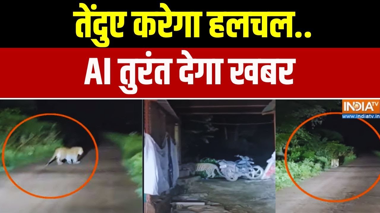 Pune Tendua Attack News: तेंदुए करेगा हलचल..AI तुरंत देगा खबर | Exclusive Report