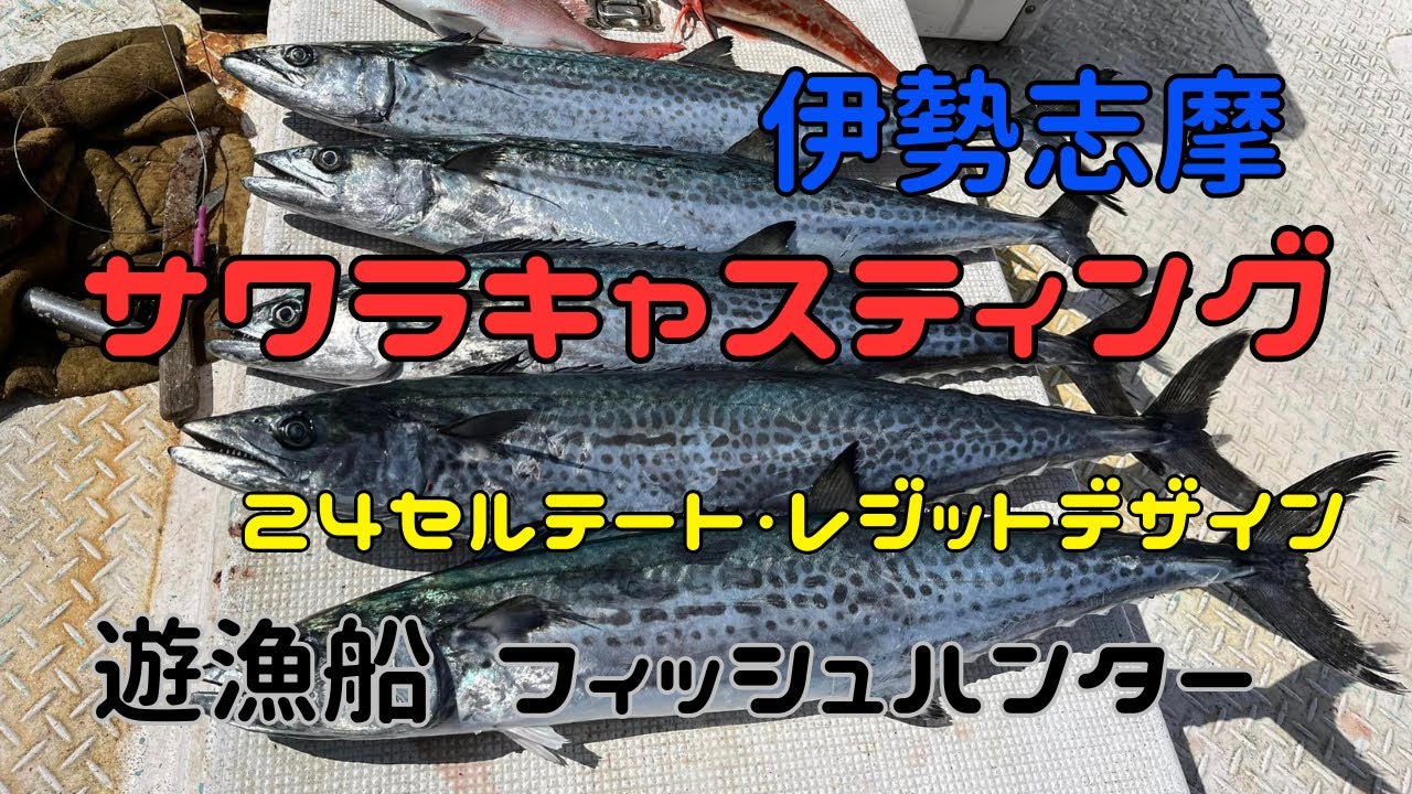 鳥羽サワラキャスティング！24セルテートとスクワド75M+の実釣で鱗付けなるか？