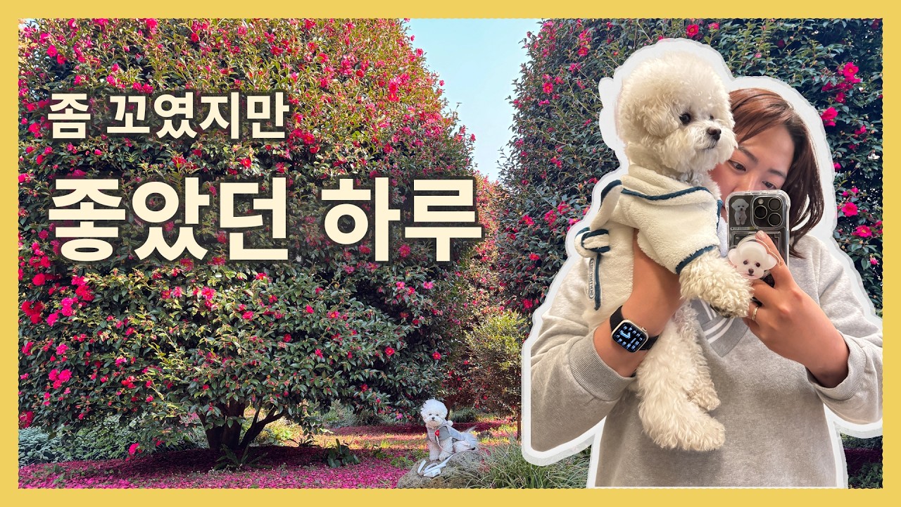 제주여행 2일차, 계획 다 꼬였지만… 딱지 덕분에 괜찮았던 하루🐶❄️