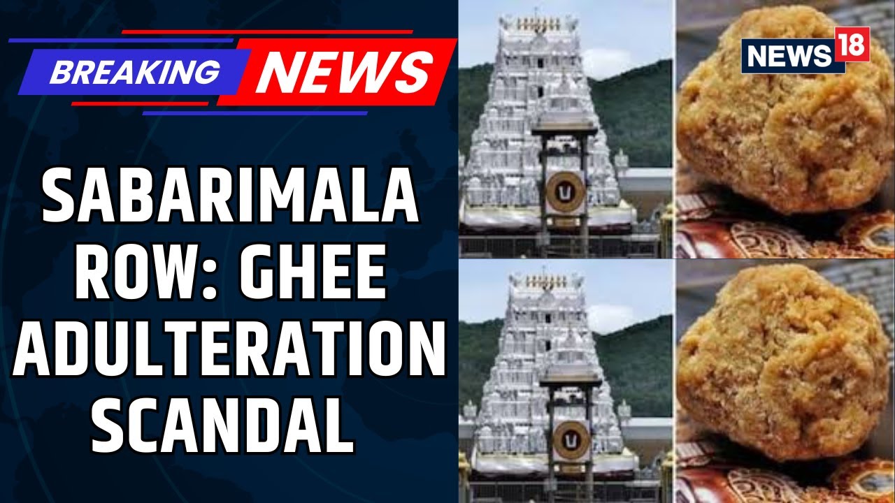 BREAKING: SIT Probe Finds Large-Scale Adulteration In Ghee Used For Tirupati Laddu Prasadam | News18