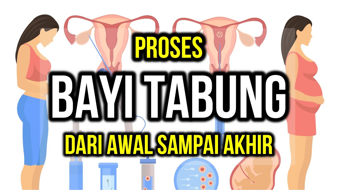 Proses Bayi Tabung dari Awal Sampai Akhir