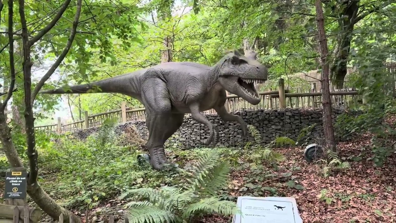 ￼Blair Drummond Safari Park 🦕🦖