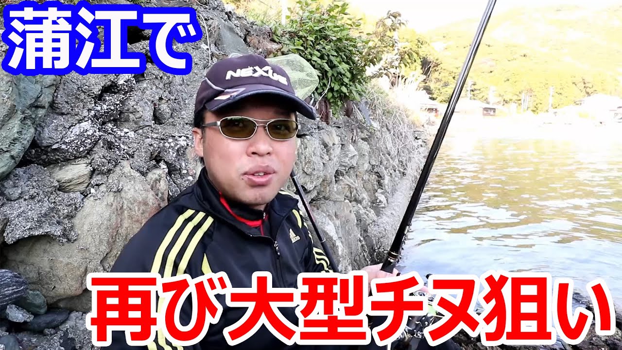ロクマルチヌを狙いに再び蒲江に来ました！