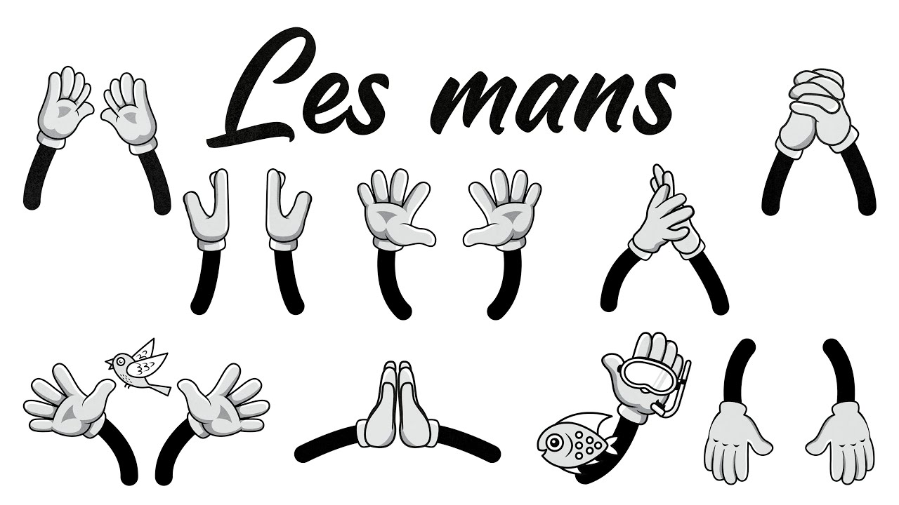 PAÍS DE XAUXA. LES MANS (Original)