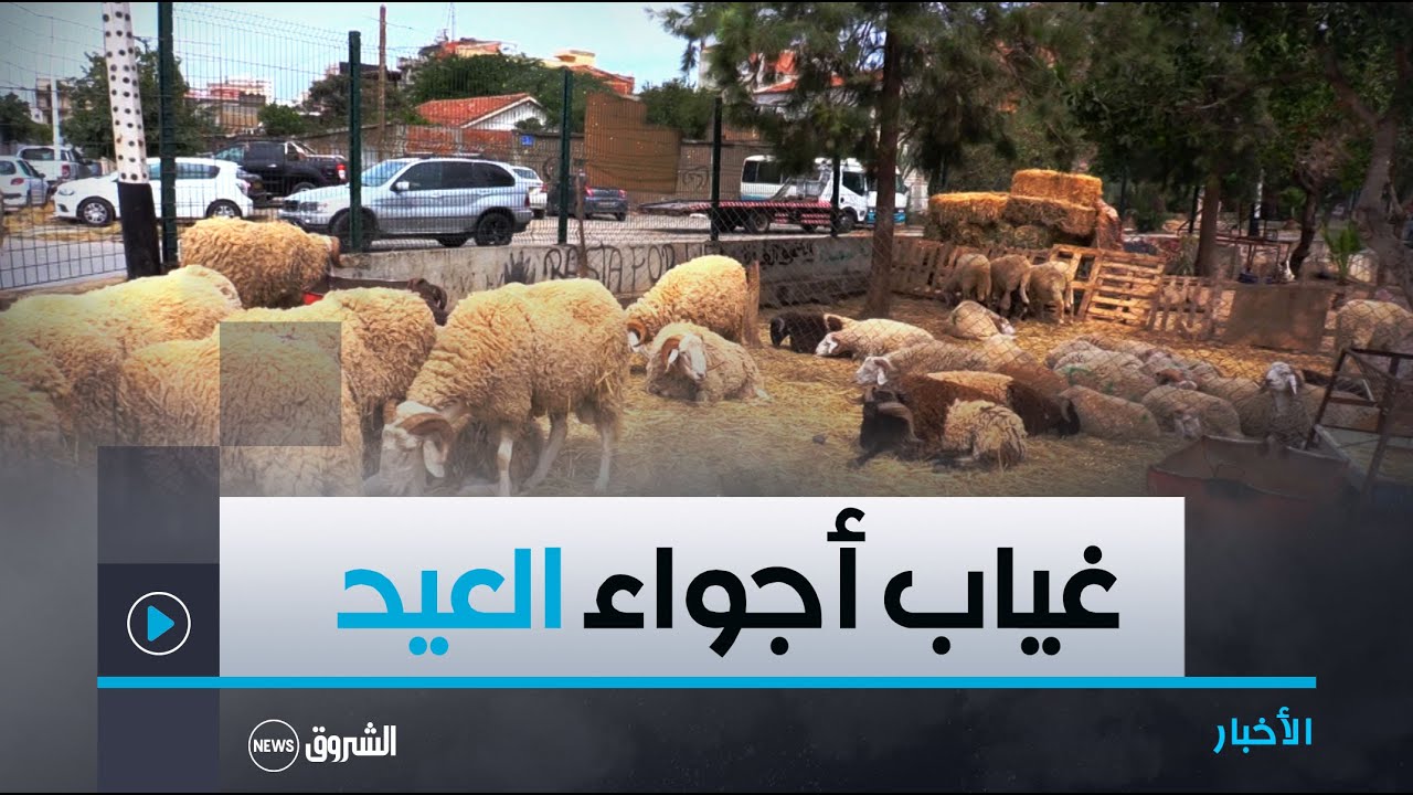 غياب مظاهر الاحتفال المسبقة بعيد الأضحى خاصة بالأحياء الشعبية
