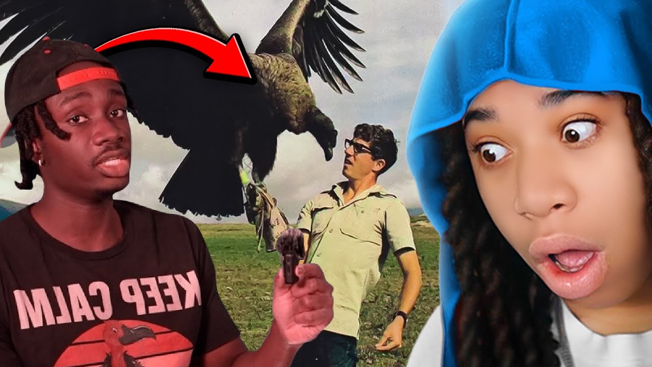 Vultures Are The Ultimate AURA FARMERS