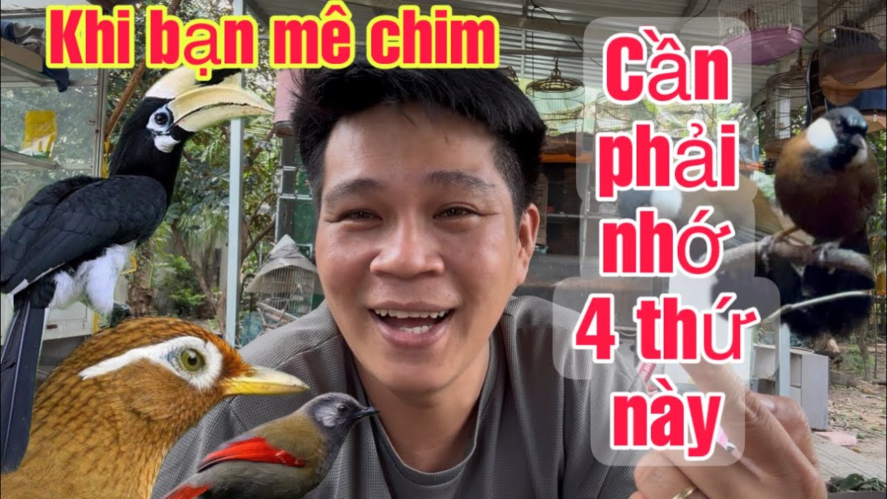 Khi Bạn Thích Nuôi Chim Thì Cần Phải Biết Những Điều Này