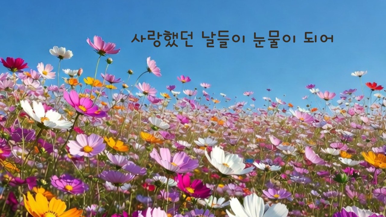 사랑했던 날들이 눈물이 되어 #재생목록#카페음악