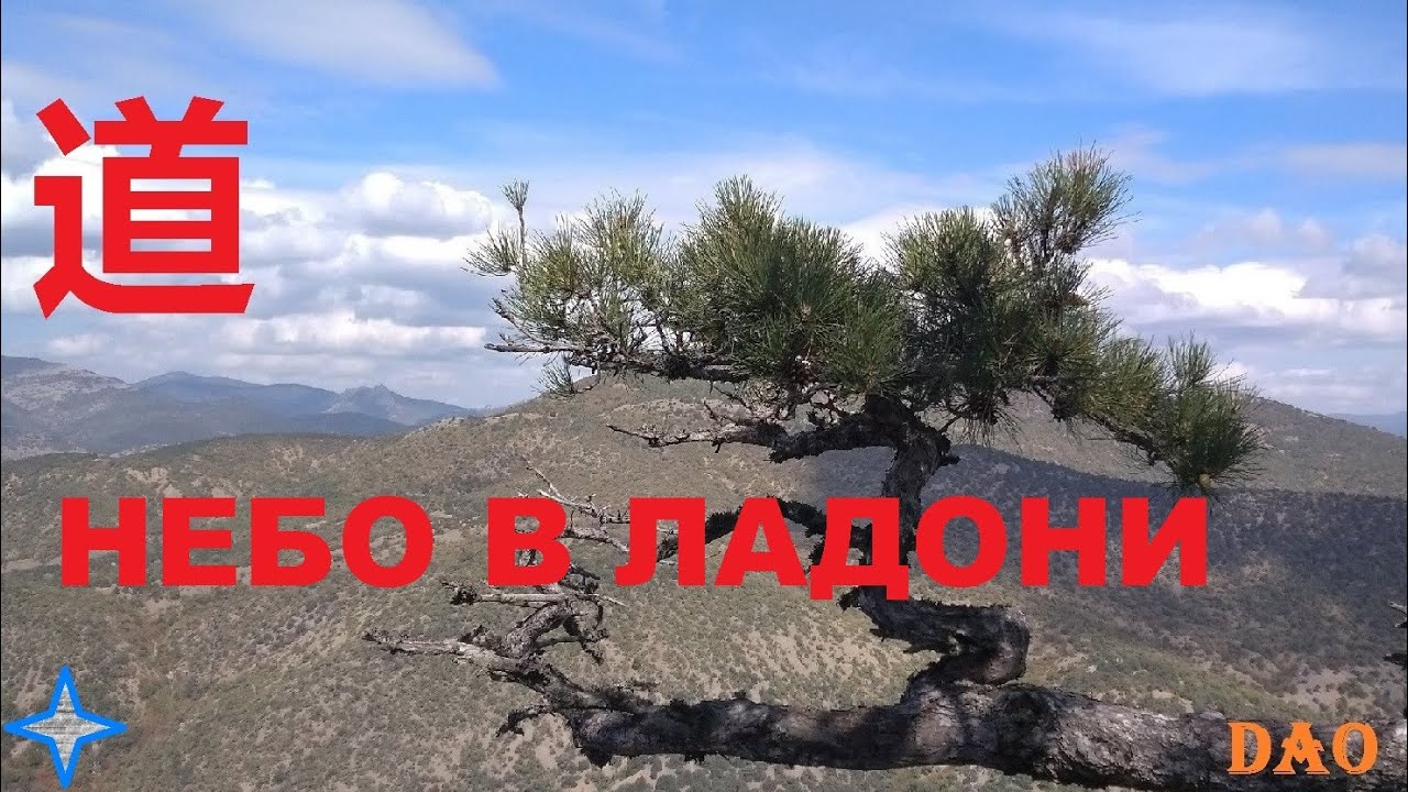 Tale of Solar * Dao / Сказка Солара * Дао &ndash; The sky in the palm / Небо в ладони