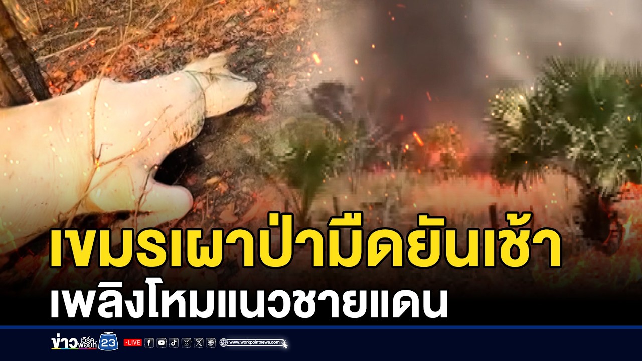 เขมรเผาป่ามืดยันเช้า เพลิงโหมแนวชายแดน | ชงข่าวเขย่าจอ | 25 กุมภาพันธ์ 2569