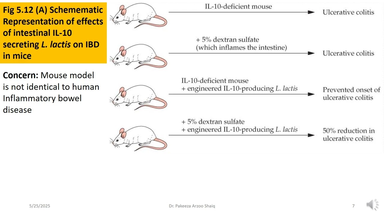 Health Biotechnology-PROTEIN THERAPEUTICS-LACTOBACTERIA-IL10