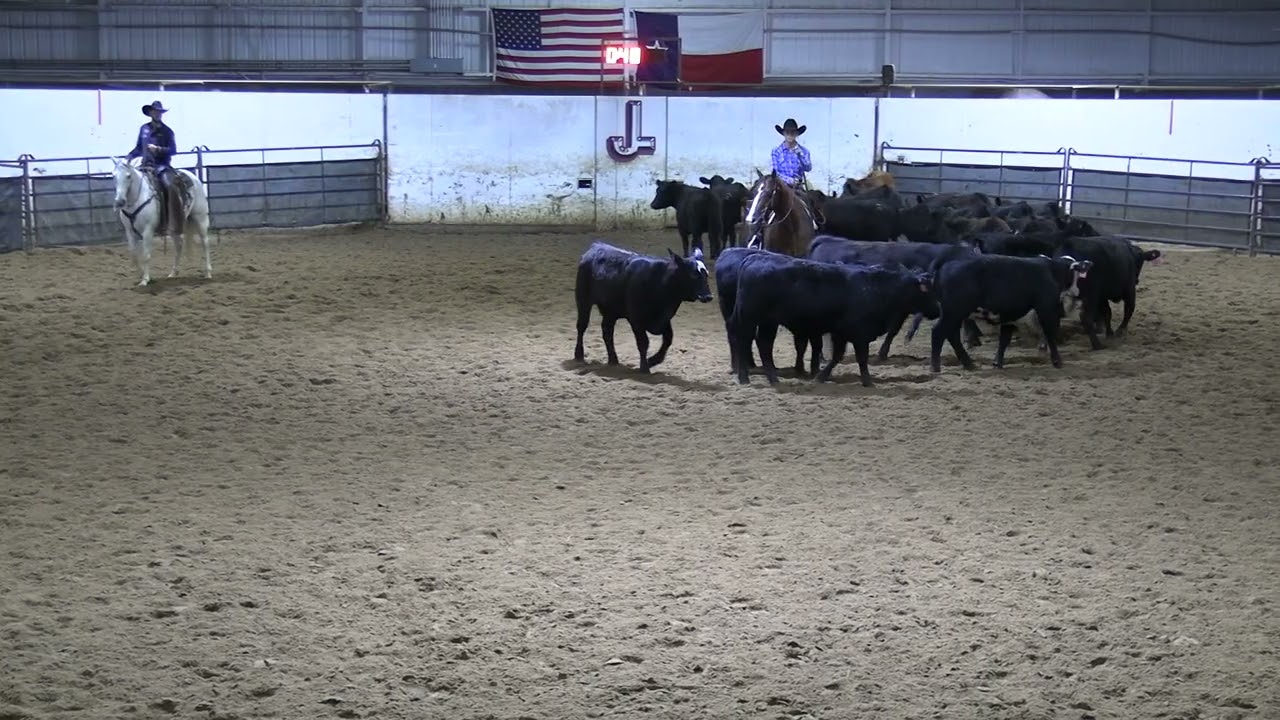 Jenny Cooper Saturday Flatlinee