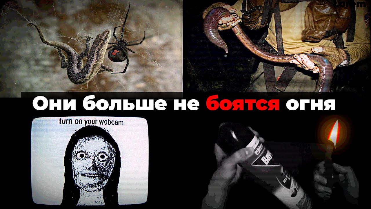 Айсберг Австралии