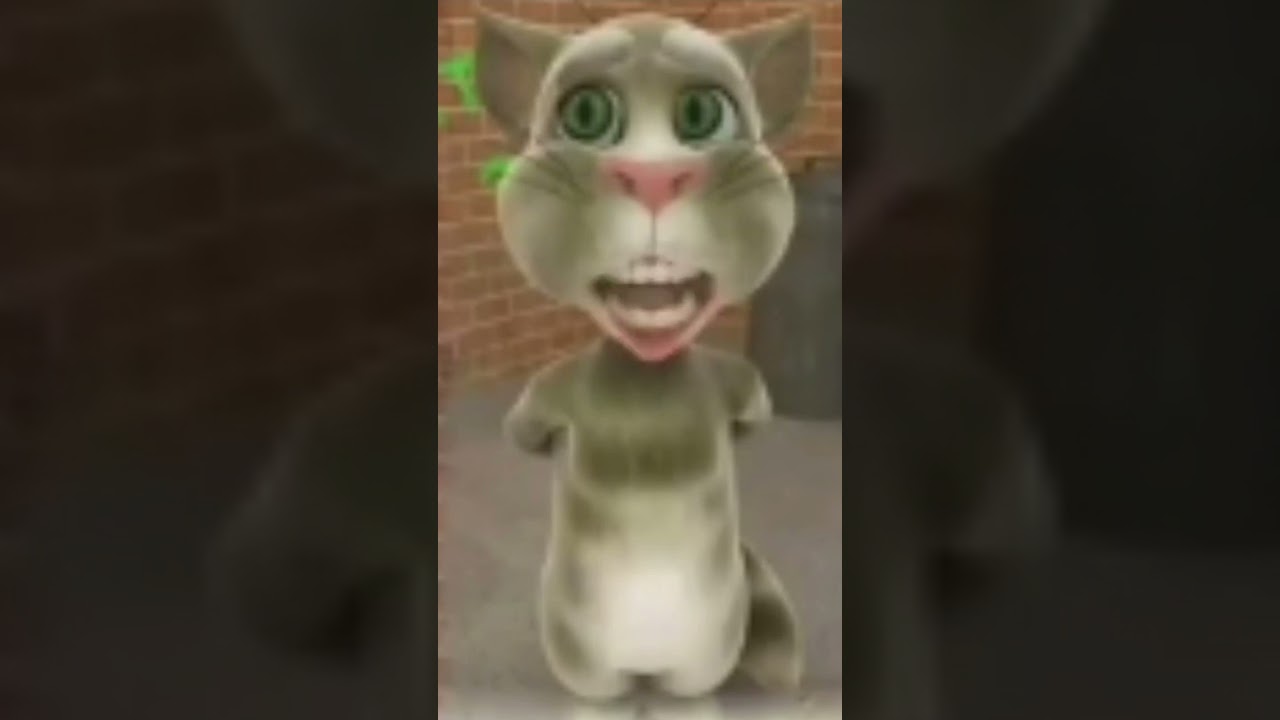 bora bill #shorts #borabill #talkingtom