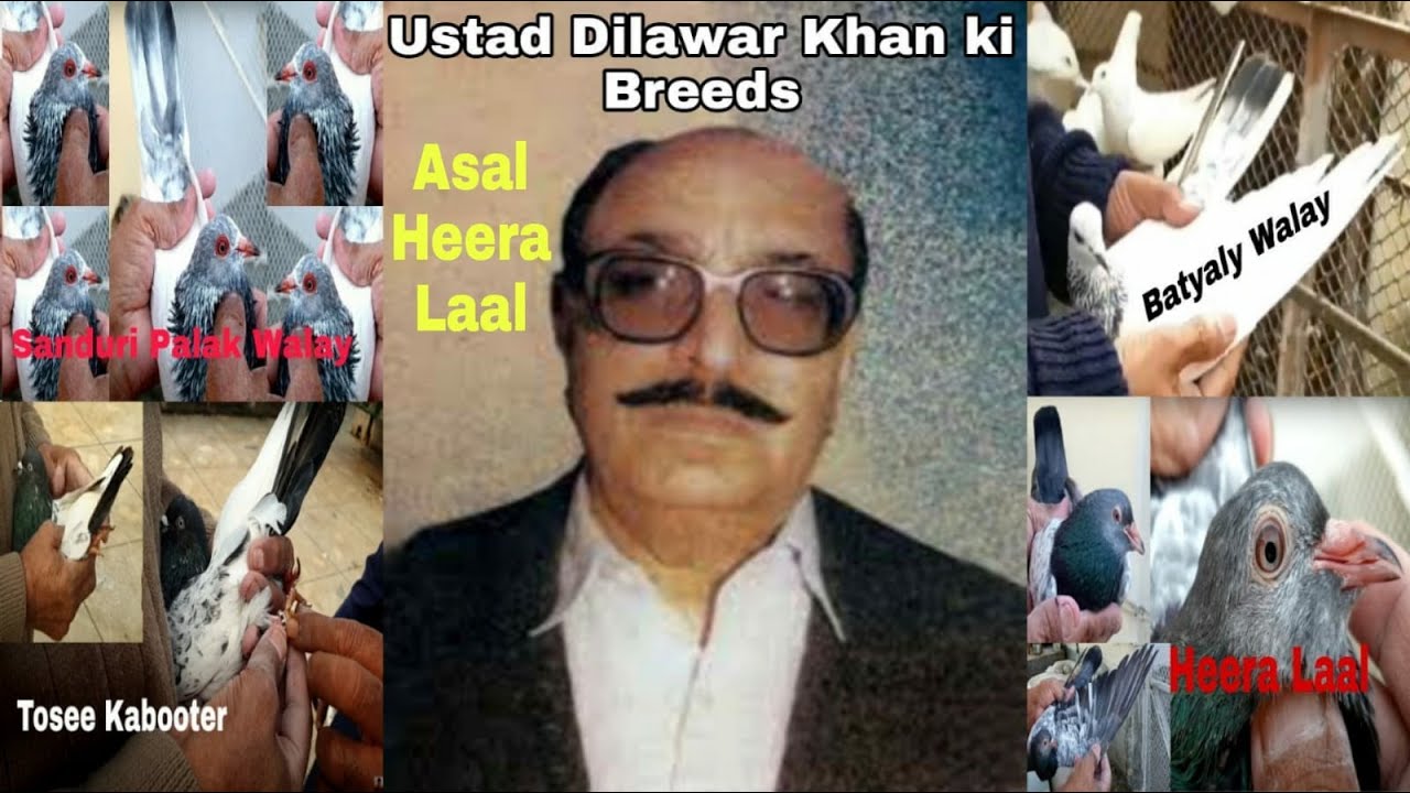 Asal Heera Laal Ustad Dilawar Khan ky Ghar ky or Inki Mukammal History | Urdu\Hindi | Shahid Rajput👍