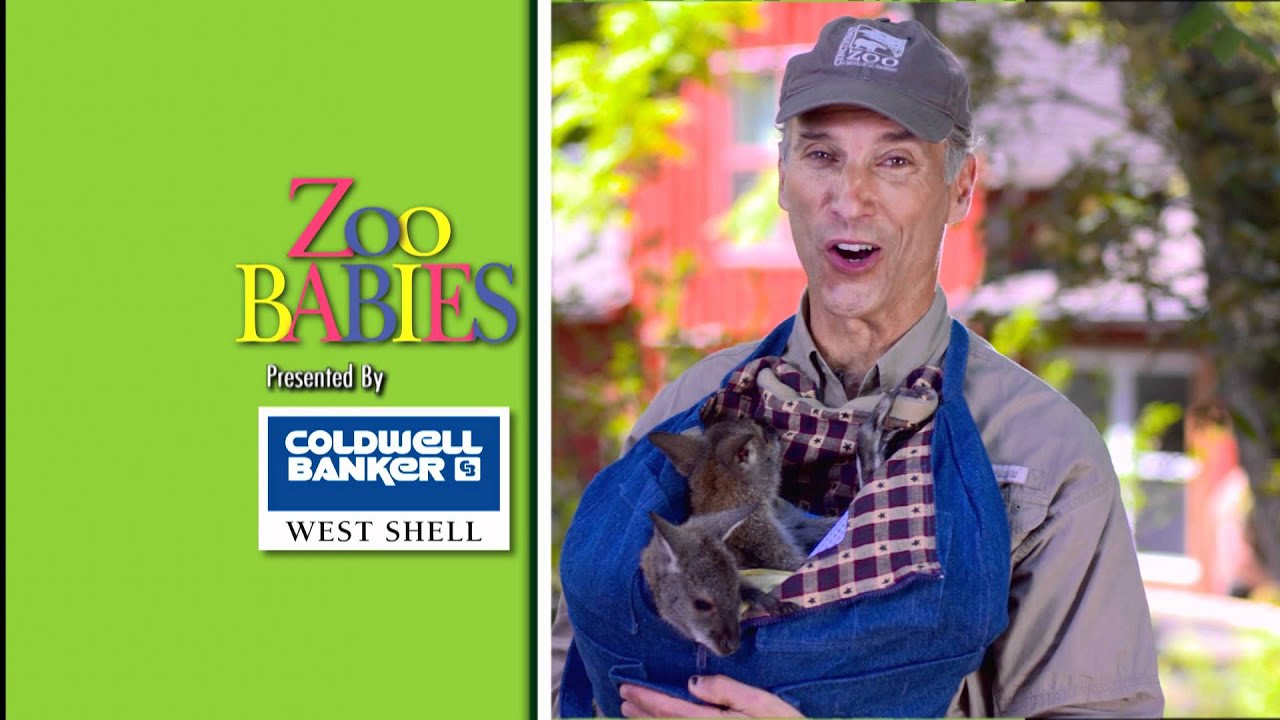 Cincinnati Zoo 2012 Jingle TV Commercial