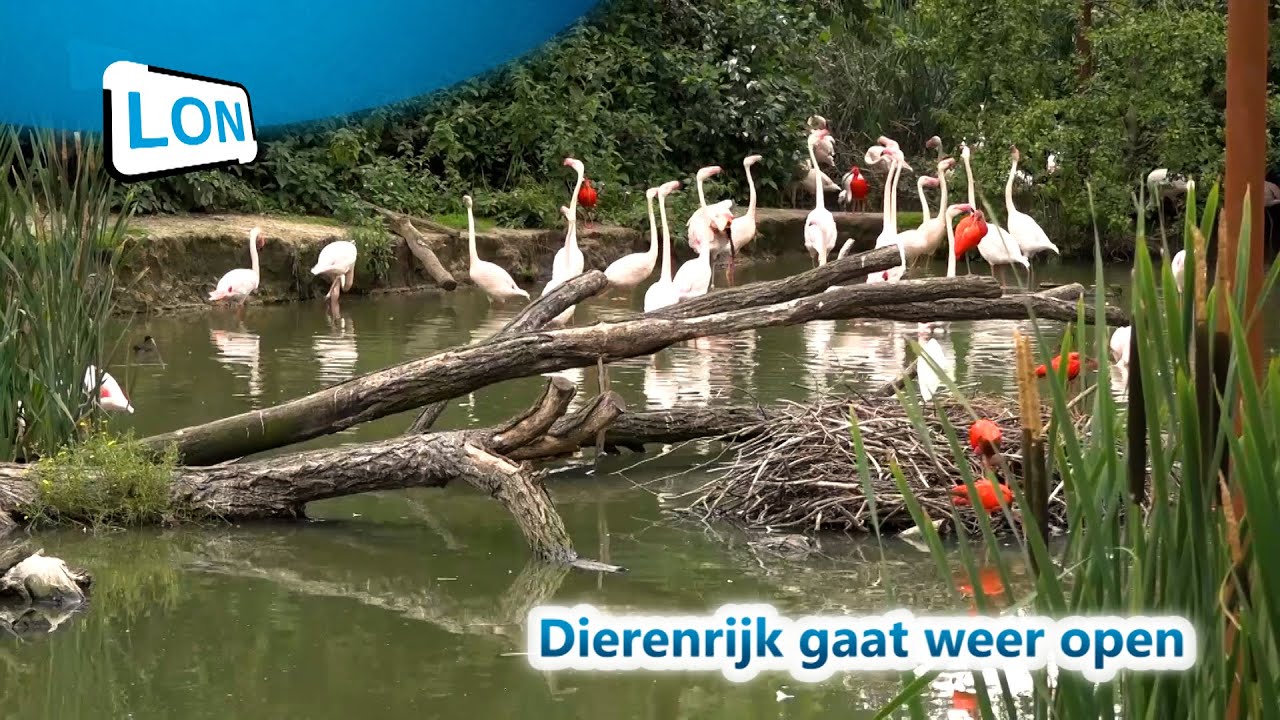 Dierenrijk weer open