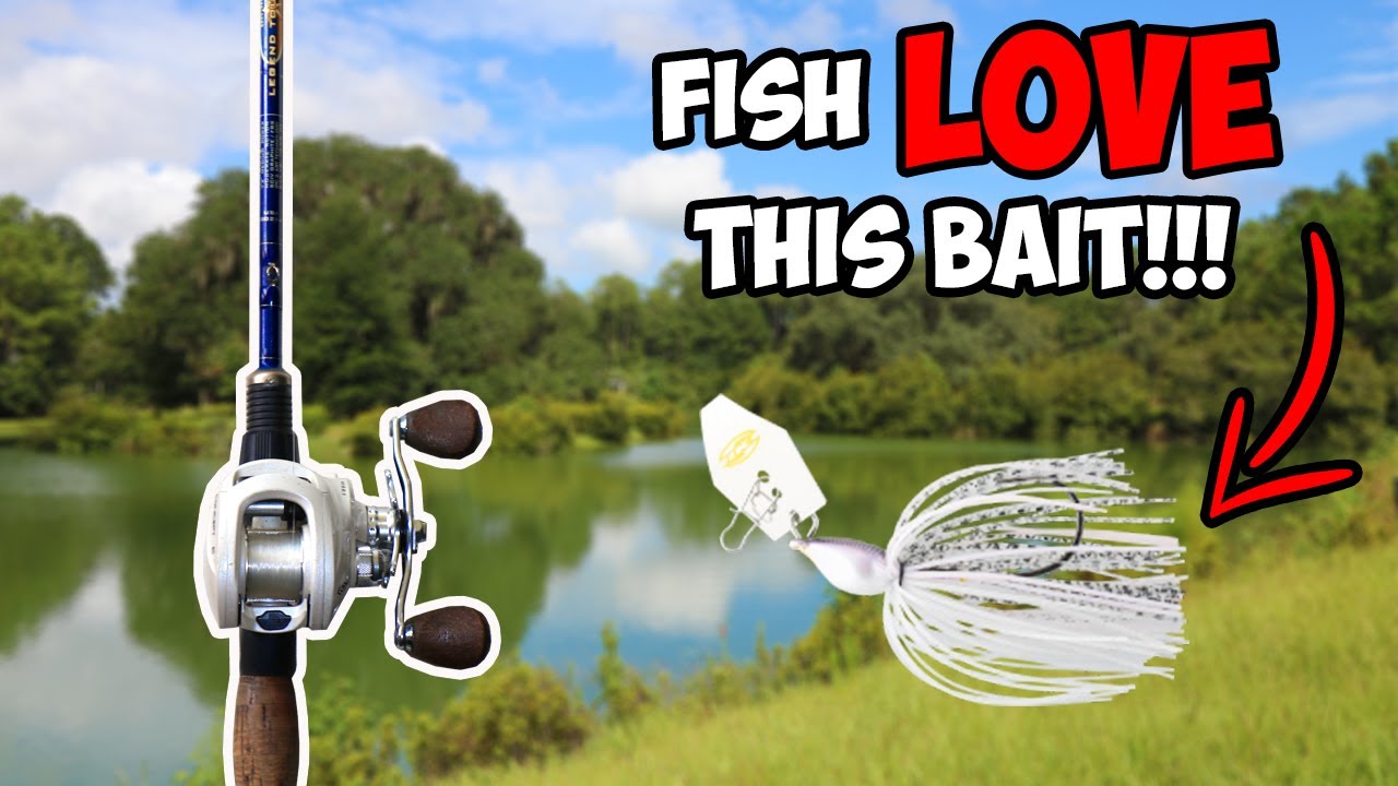 Fishing a CHATTERBAIT in an AMAZING Private Pond!!! | Fall Bass Fishing