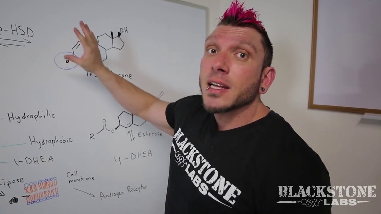 Why choose Blackstone Labs Brutal 4CE Supplement? | Get flat 10% Off* | Shop Now Don't Miss Out!