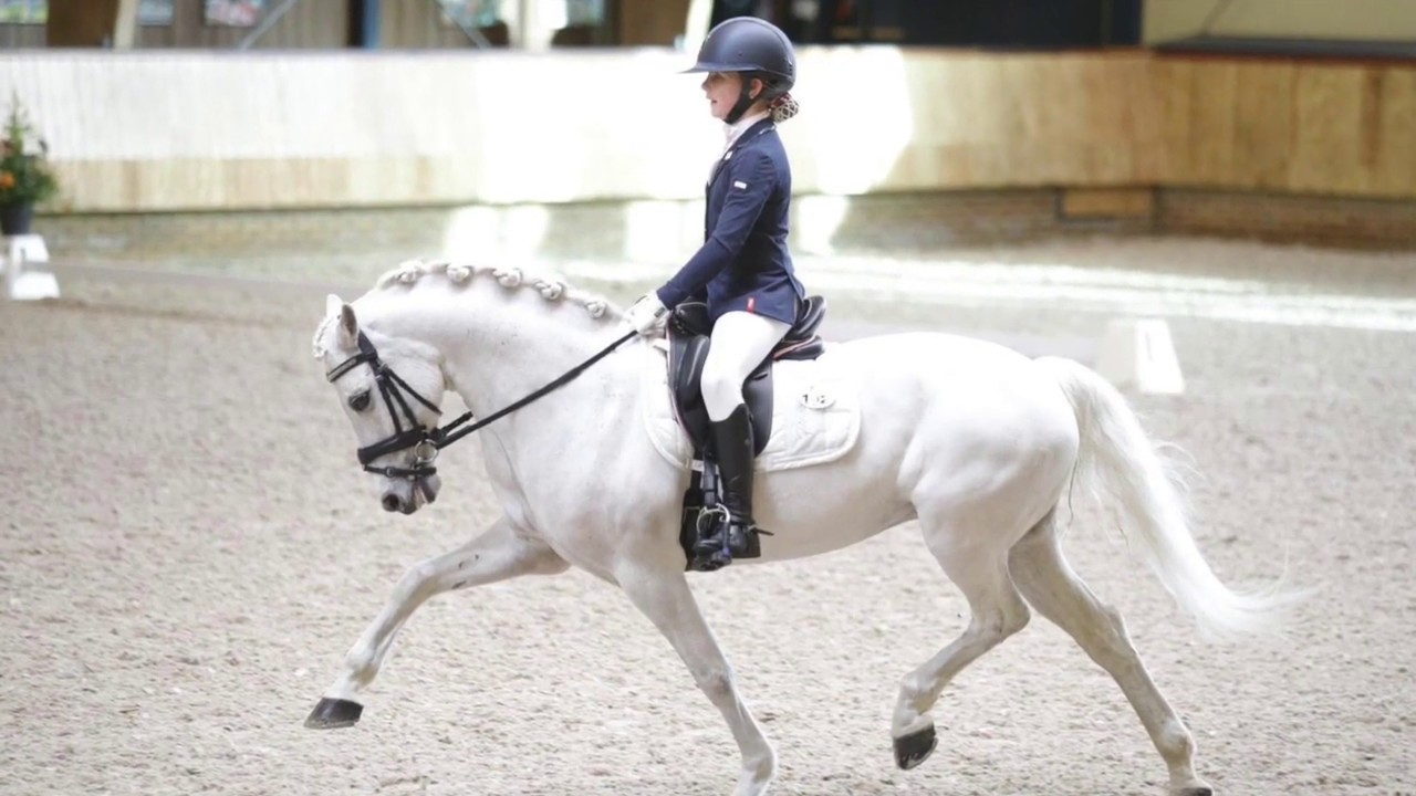 Huldiging Nederlands Kampioen Dressuur pony's B-C