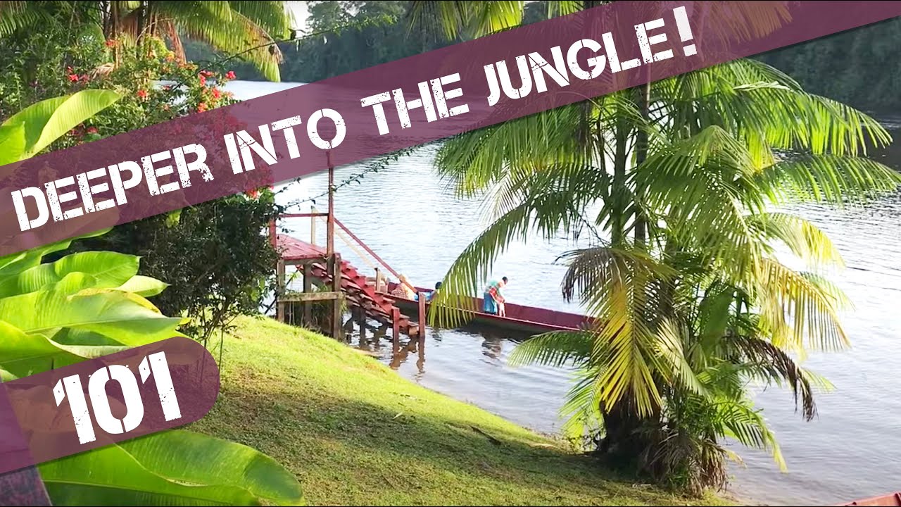 Logging, Gold / Aluminium Mining and the impact on People and Environment in the Rainforest. Ep101