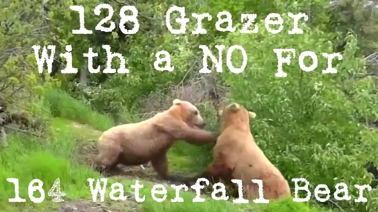 128 Grazer says, 