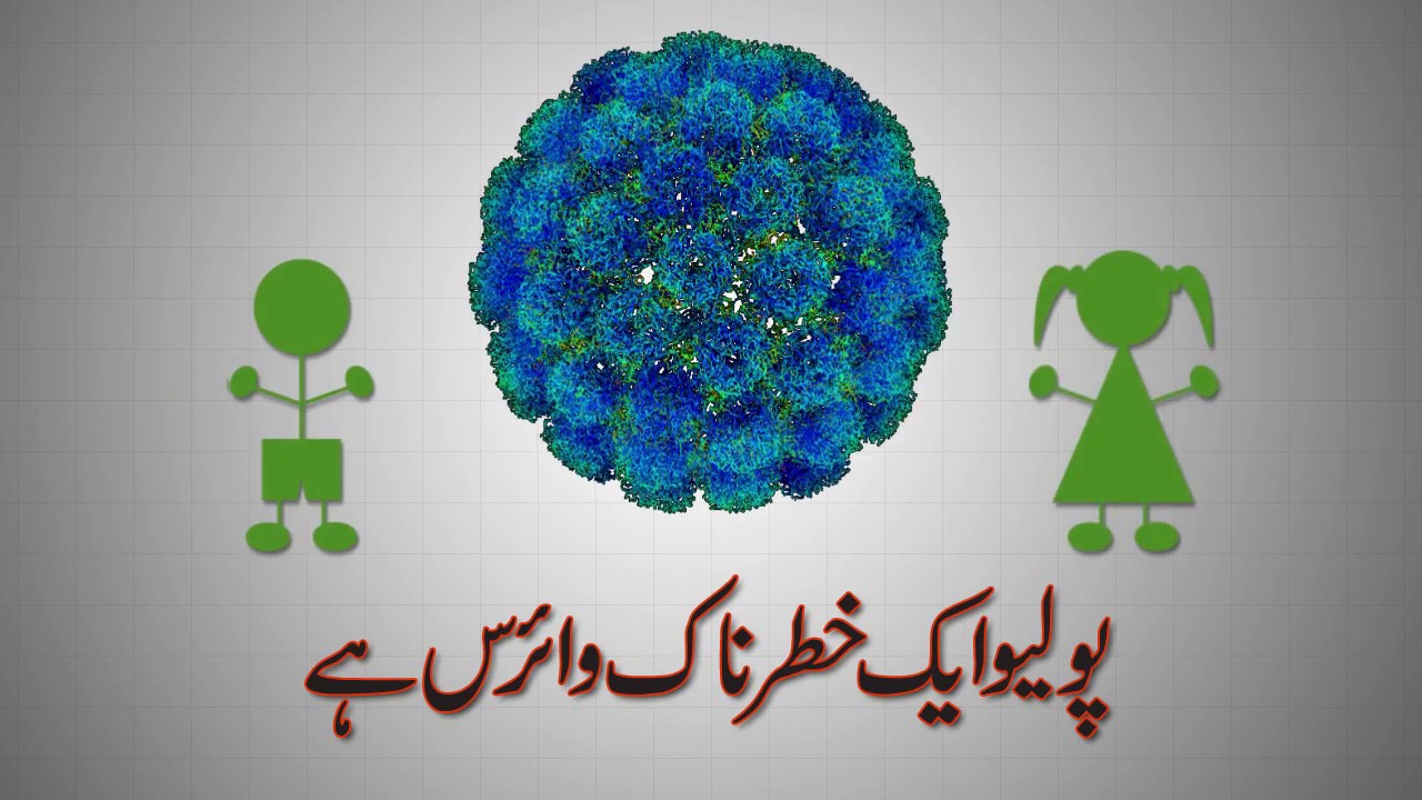 What is Polio virus ? | polio vaccine in pakistan