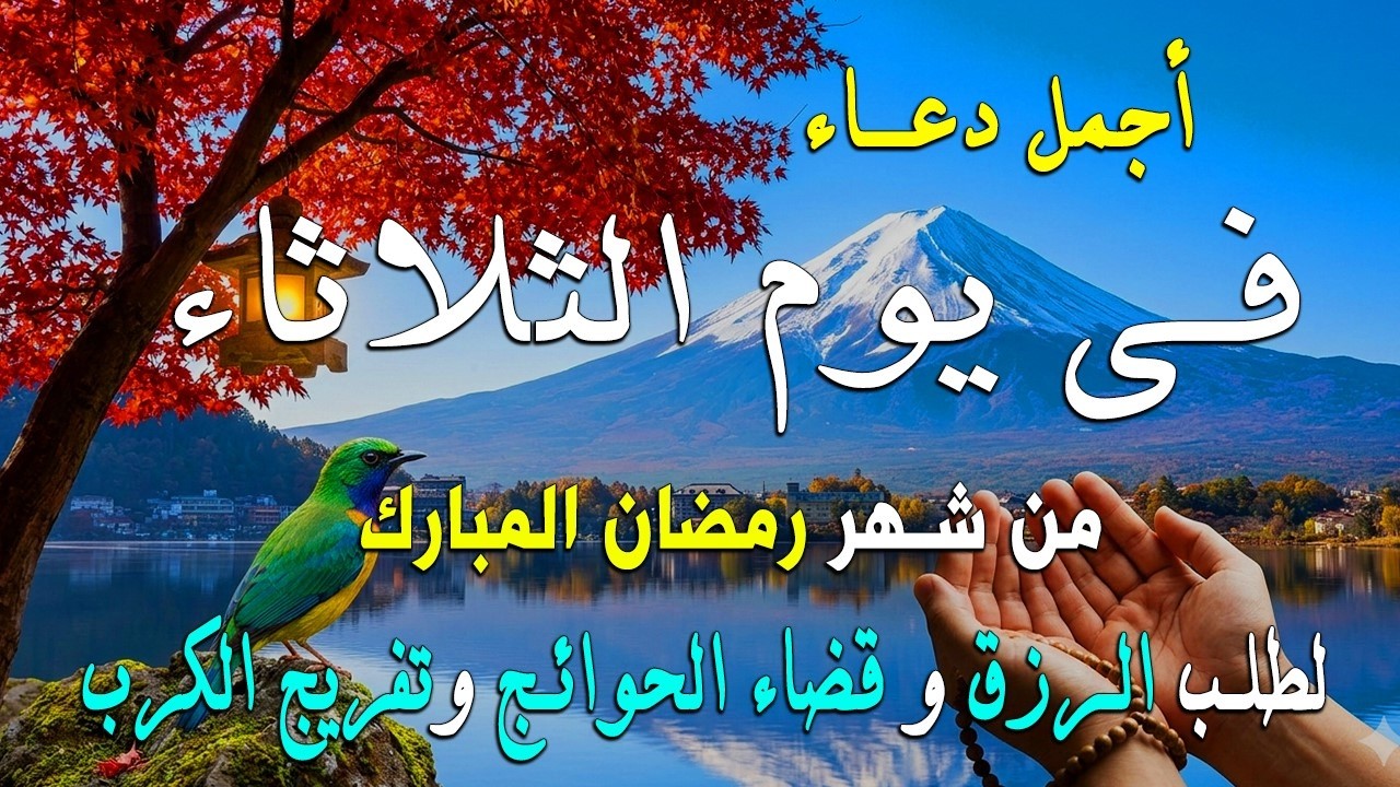 دعاء فى يوم الأثنين  المستجاب دعاء يوم 12 من شهر رمضان للرزق والشفاء العاجل وقضاء الحوائج 🤲(4k)