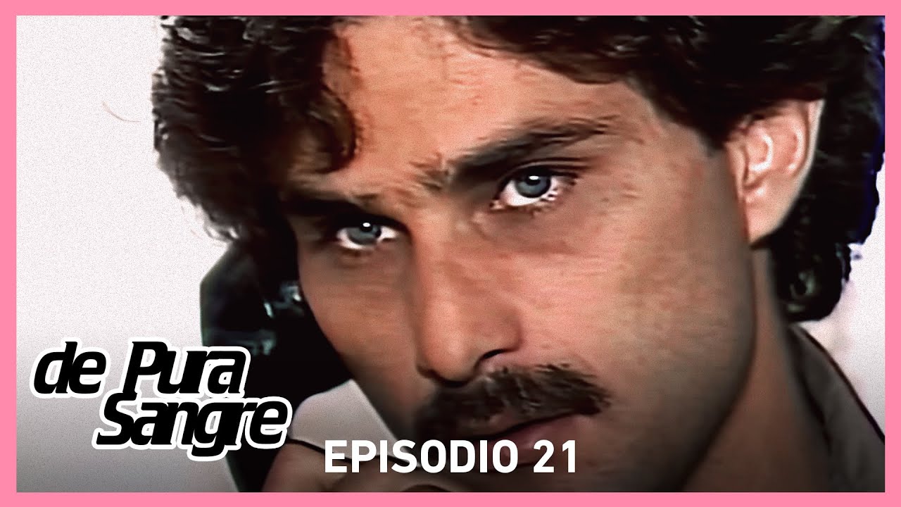 De Pura Sangre: Alberto Salerno podría reunirse con los Duarte | Escena C21 | tlnovelas