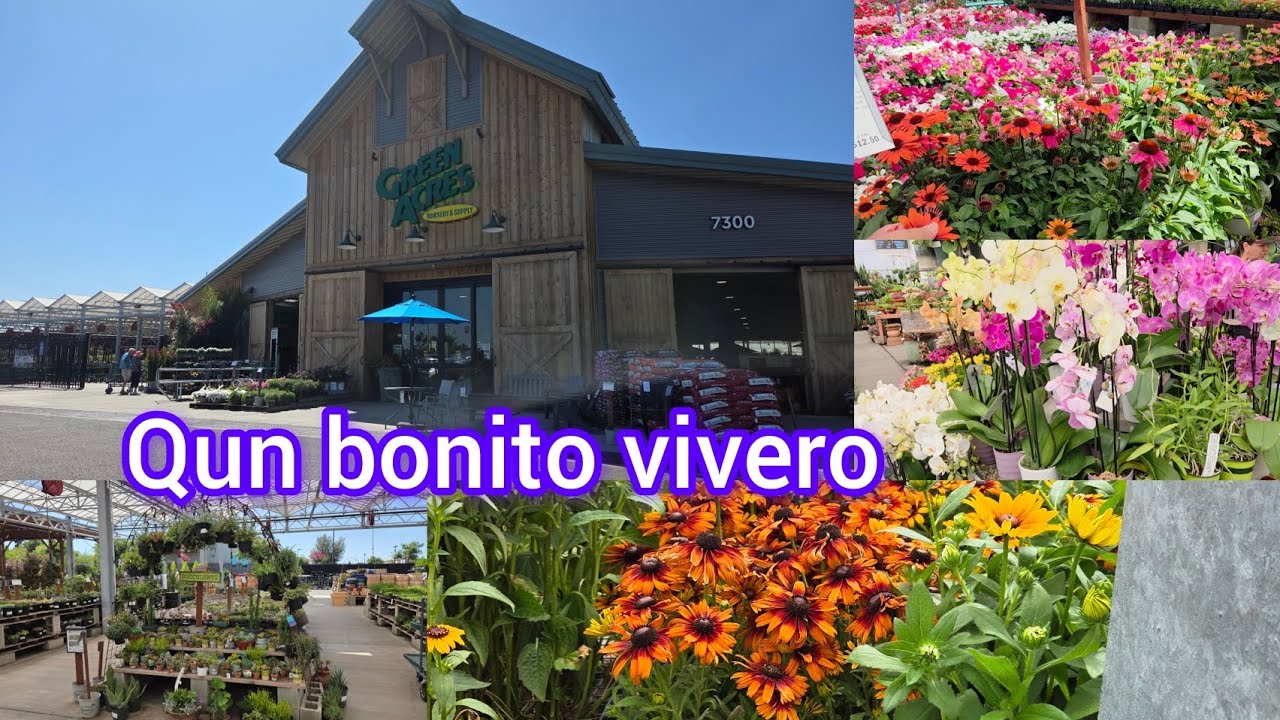 ¿Tour por mi vivero favorito?
