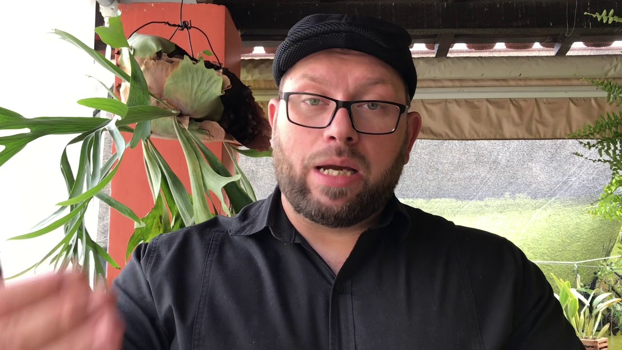 COMO USAR SEACROP NAS ORQUÍDEAS ( FÉRIAS NO CANAL, VÍDEO DE 2018 )