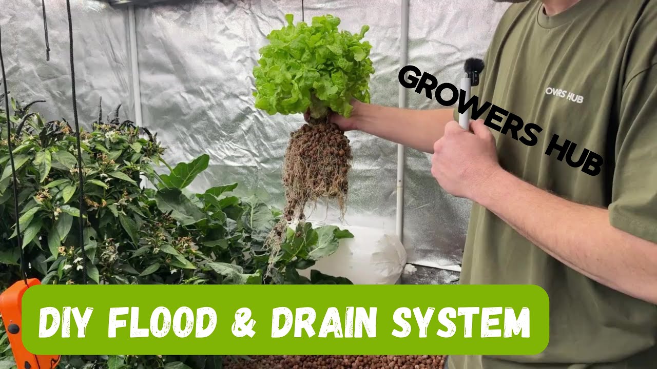 Hydroponics made simple: Build a flood and drain table