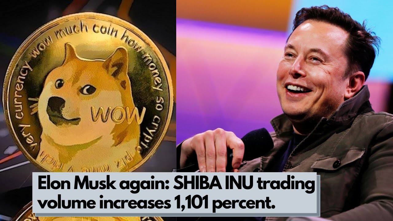 Elon Musk Again Shiba Inu Trading Volume Increases 1,101 Percent | TL News