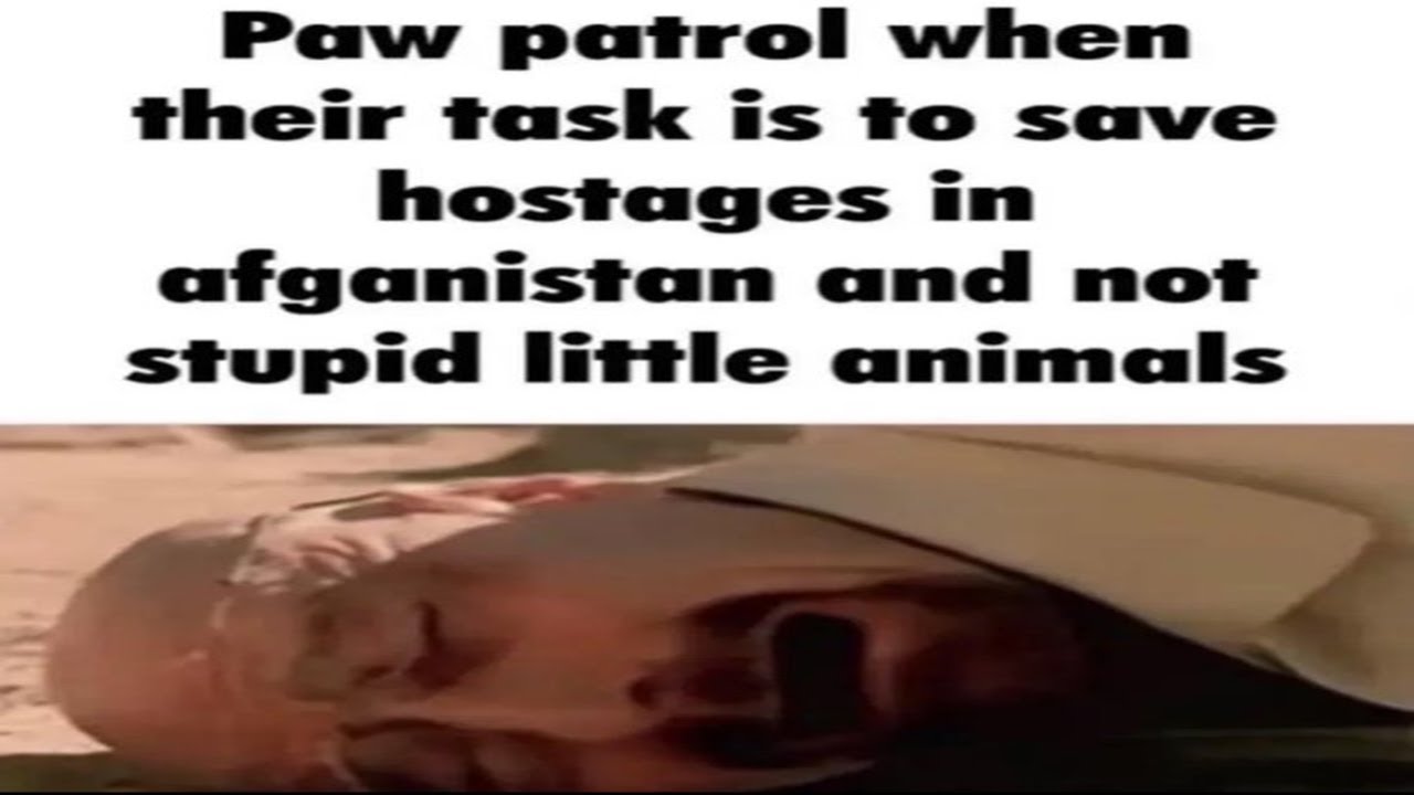 Shitpost compilation 58