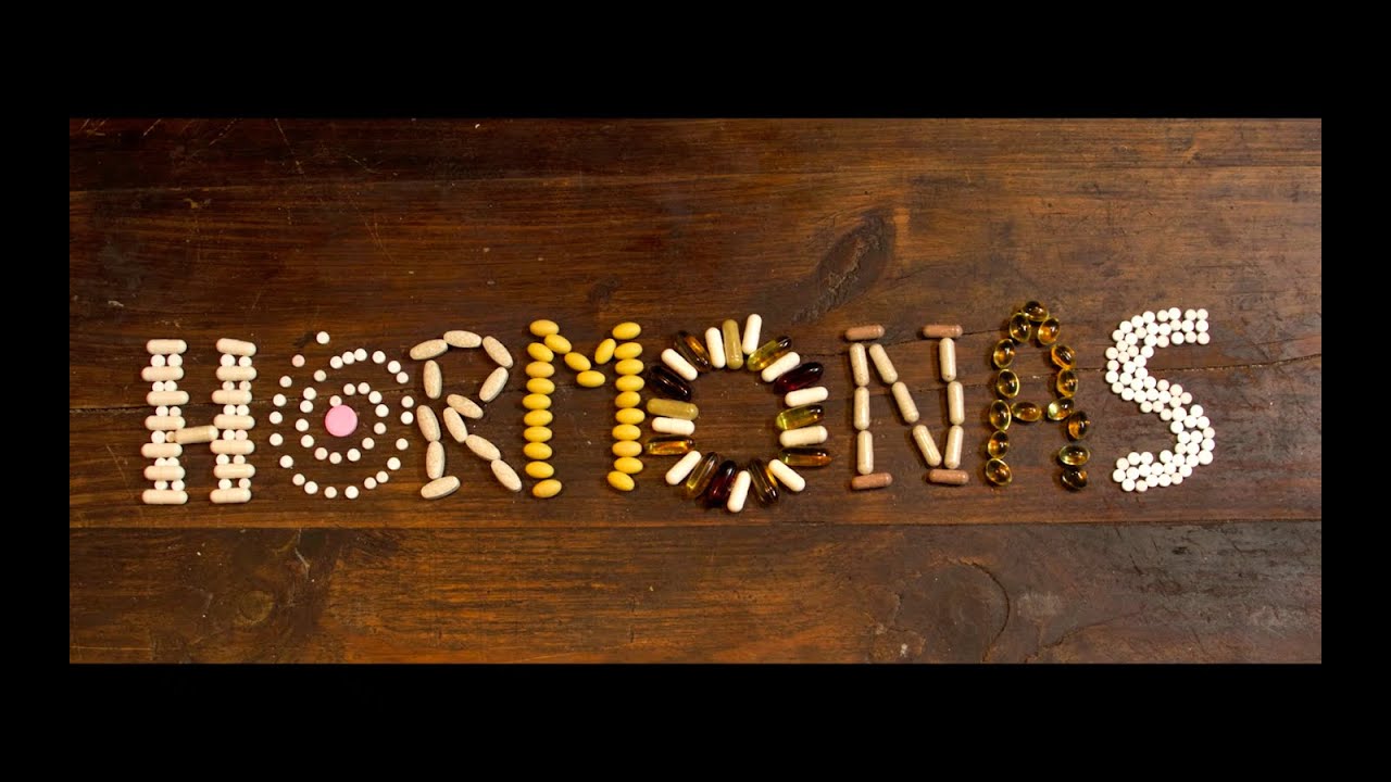 Hormonas - (Me llamo) Sebasti&aacute;n [Video Oficial ft. Victoria Volkova]