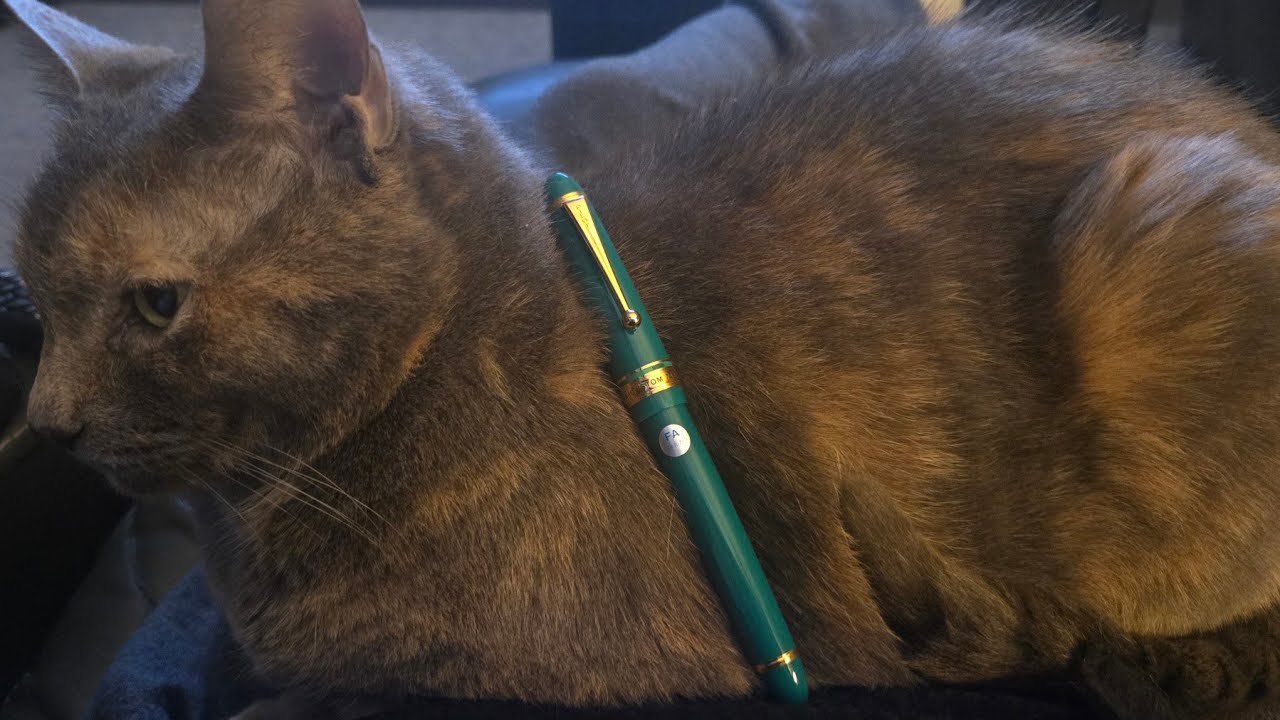 New Pen Day | Pilot Custom 743 Verdigris + Ink Match - my reward pen!