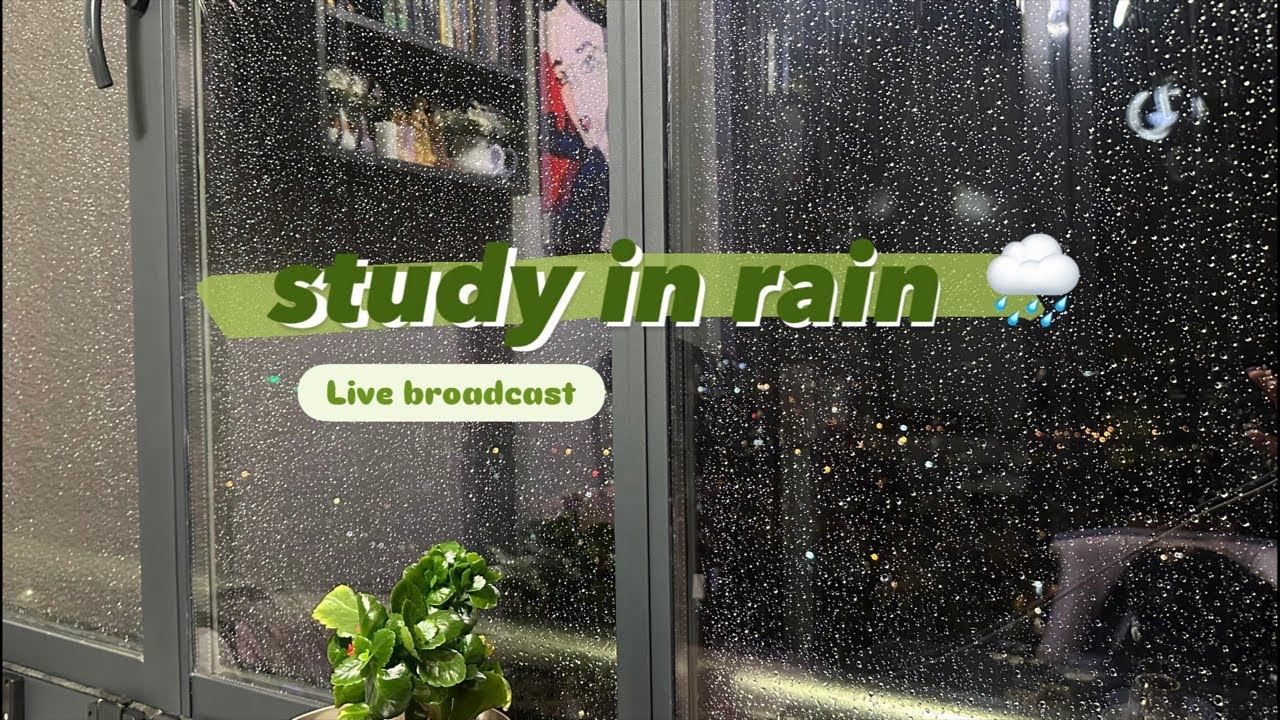 Study in rain #live #studymotivation #study