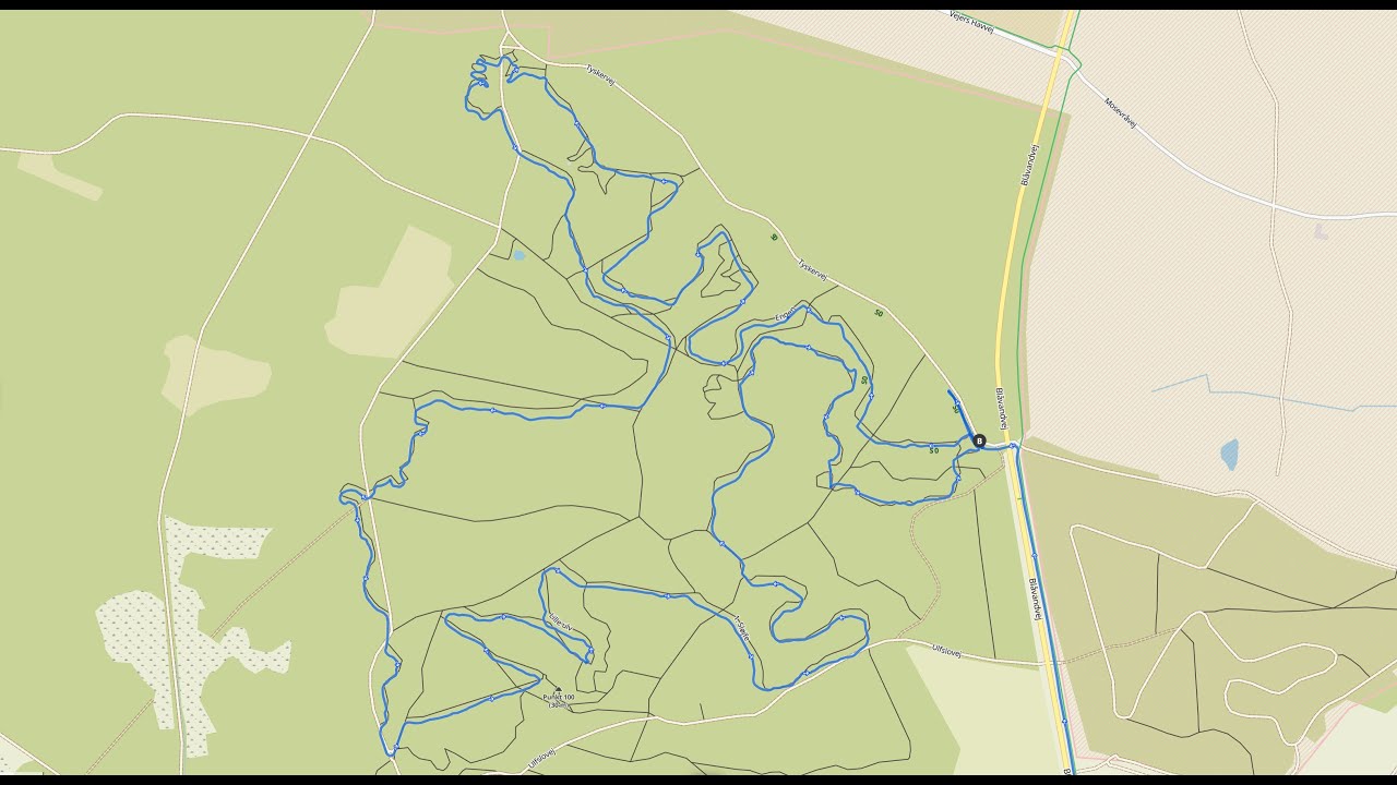 4K Bordrup MTB-Trail Nähe Blåvand 30.8.2021 mit Cube Actionteam - km 2 bis 4 - m. Polizeieinsatz 😉