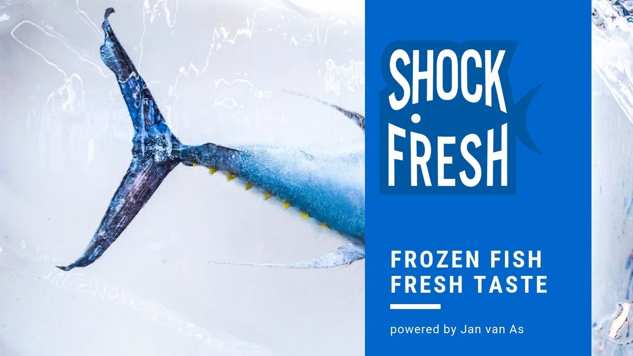 Shock Fresh Process