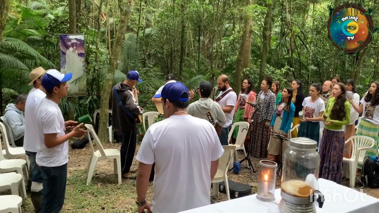Na Harmonia da Floresta - Luiz Mendes