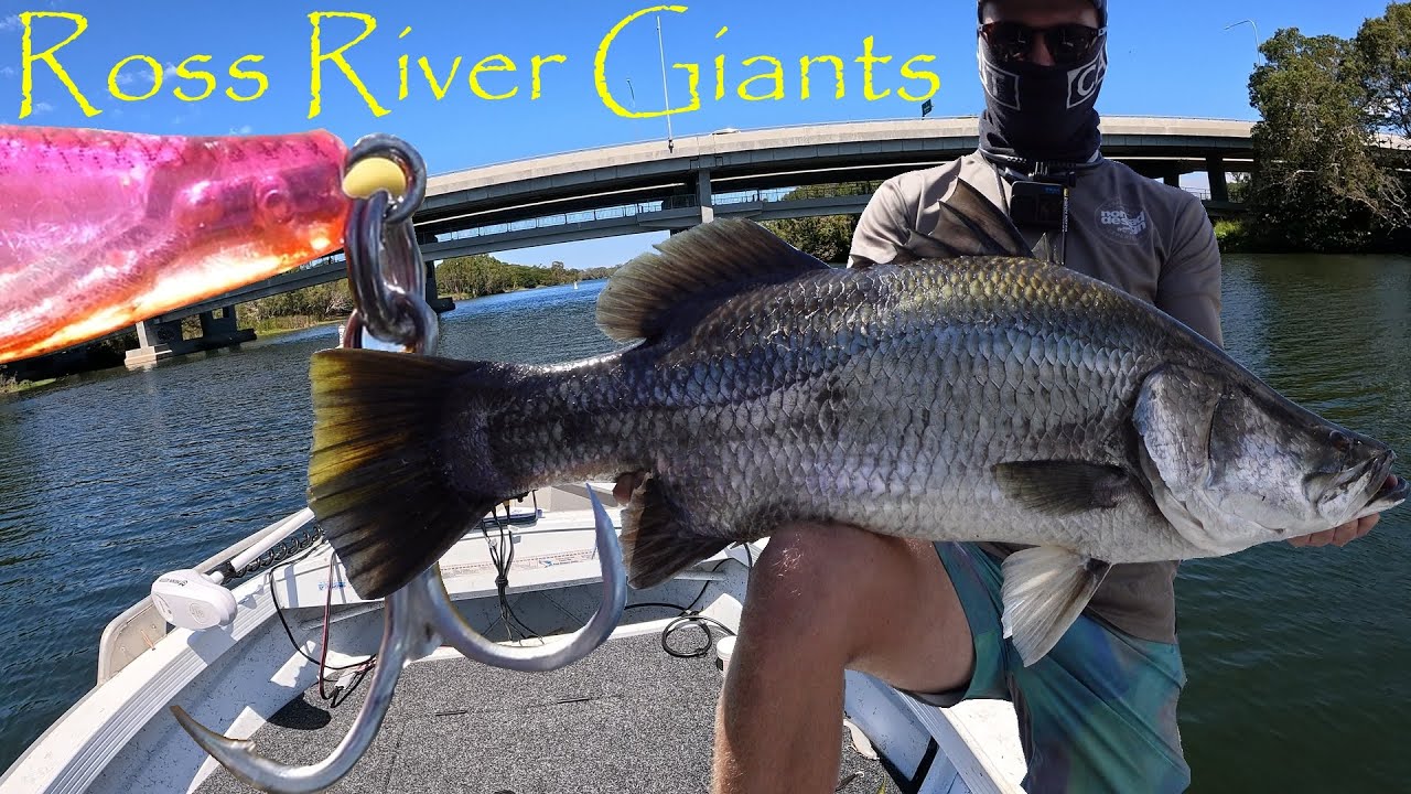 3 Days Catching Giant Barramundi -  Ross River Townsville