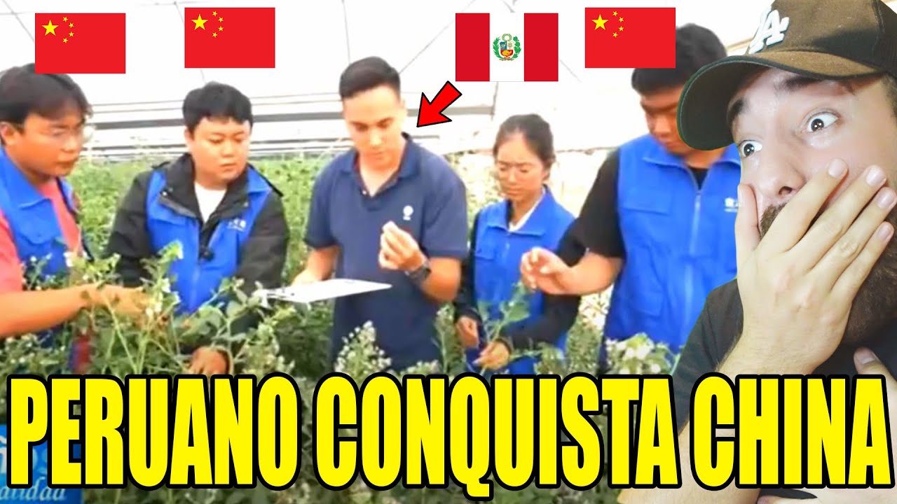 PERUANO esta CAMBIANDO vidas EN CHINA con estas INNOVACIONES!!