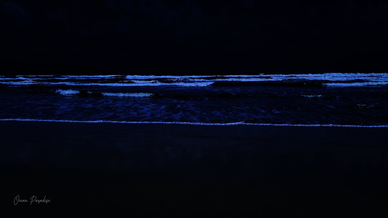Addormentati profondamente con i suoni delle onde dell'oceano durante la notte, addormentati...