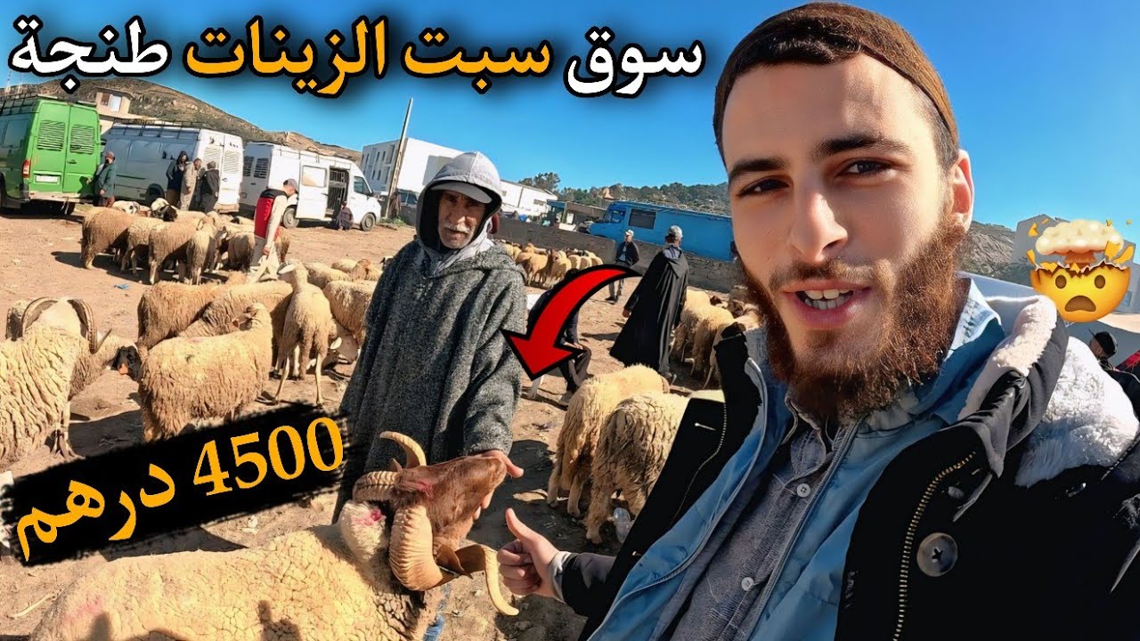 347 | 🔥 أثمنة الحولي عيد الأضحى في سوق سبت زينات  طنجة بتاريخ 28\03\2026🥰